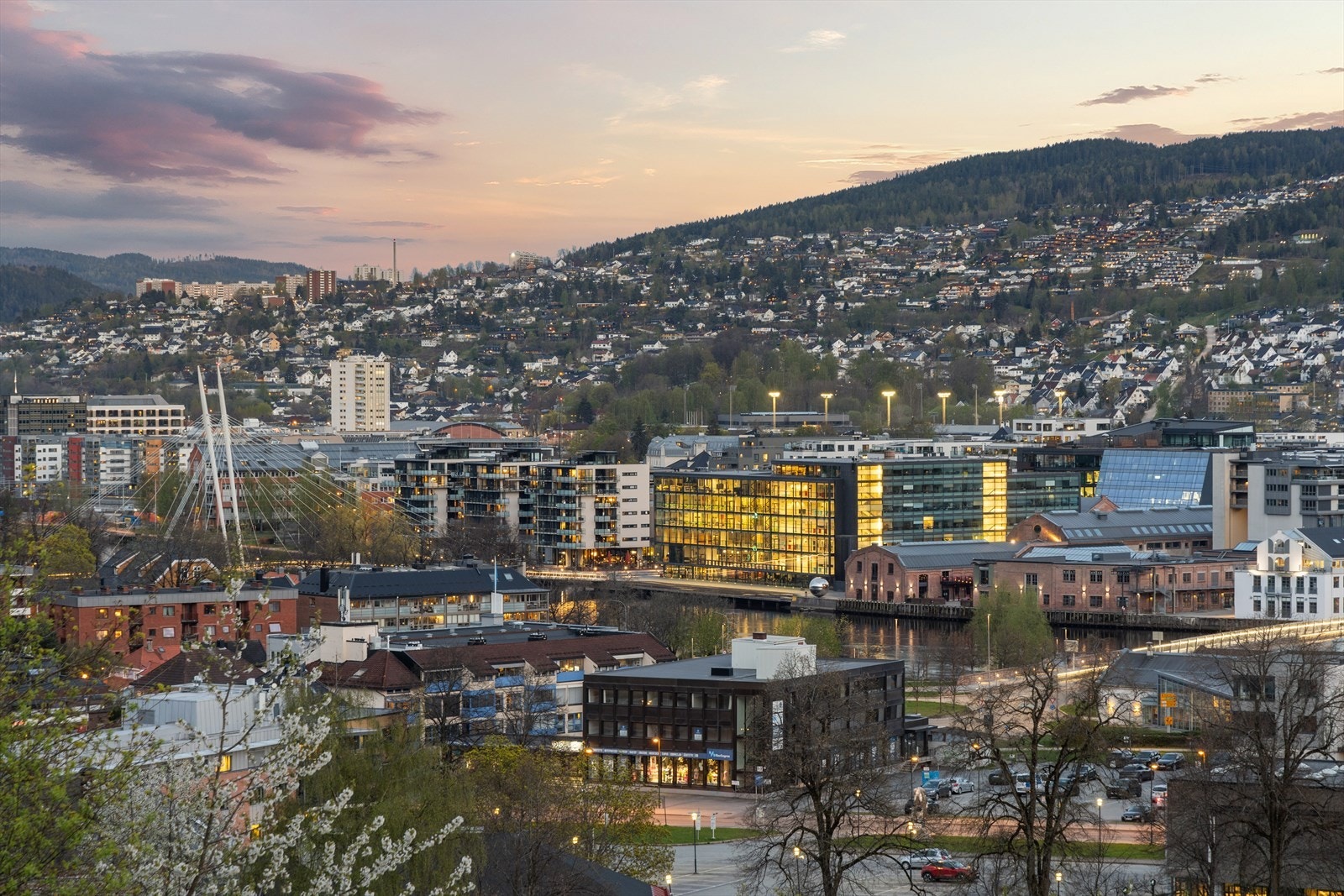 Nydelig utsikt mot Drammen Galleribilde