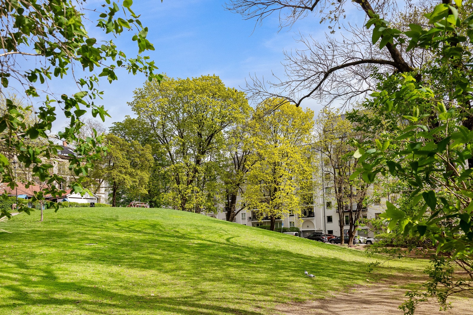 Ankerhagen ligger som en grønn lunge rett ovenfor boligen Galleribilde