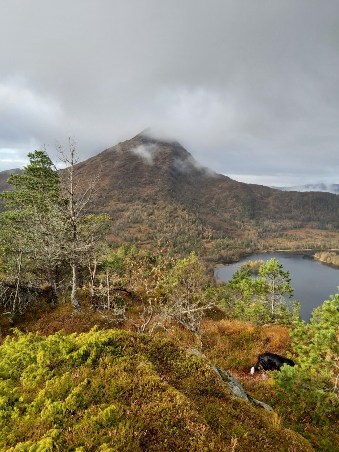 Utallige turmuligheter like utenfor døren. Galleribilde