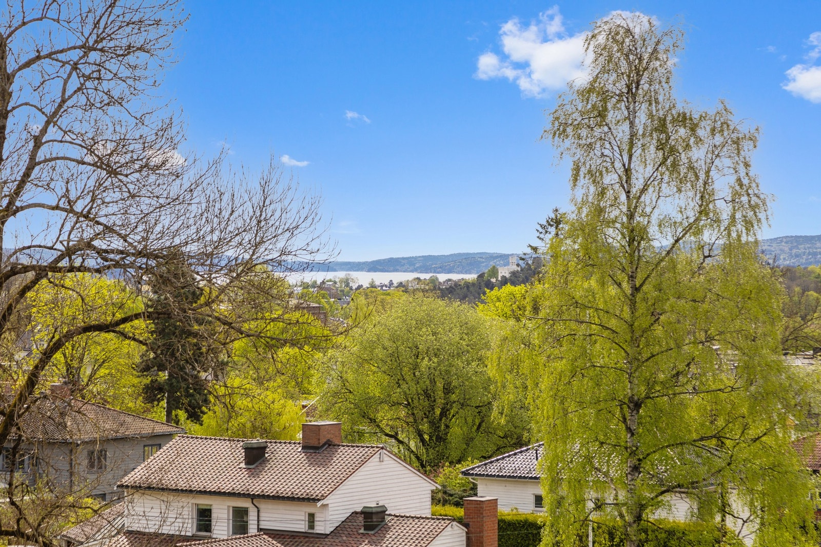 Utsikt. Galleribilde