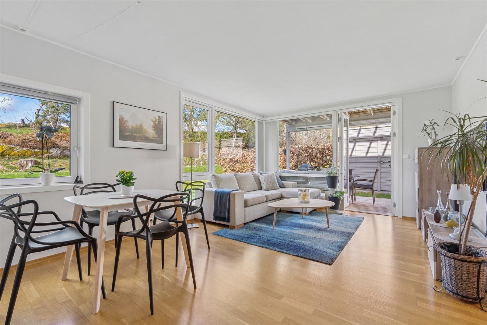 Stuen fremstår som et lyst og trivelig rom som er enkelt å møblere Galleribilde