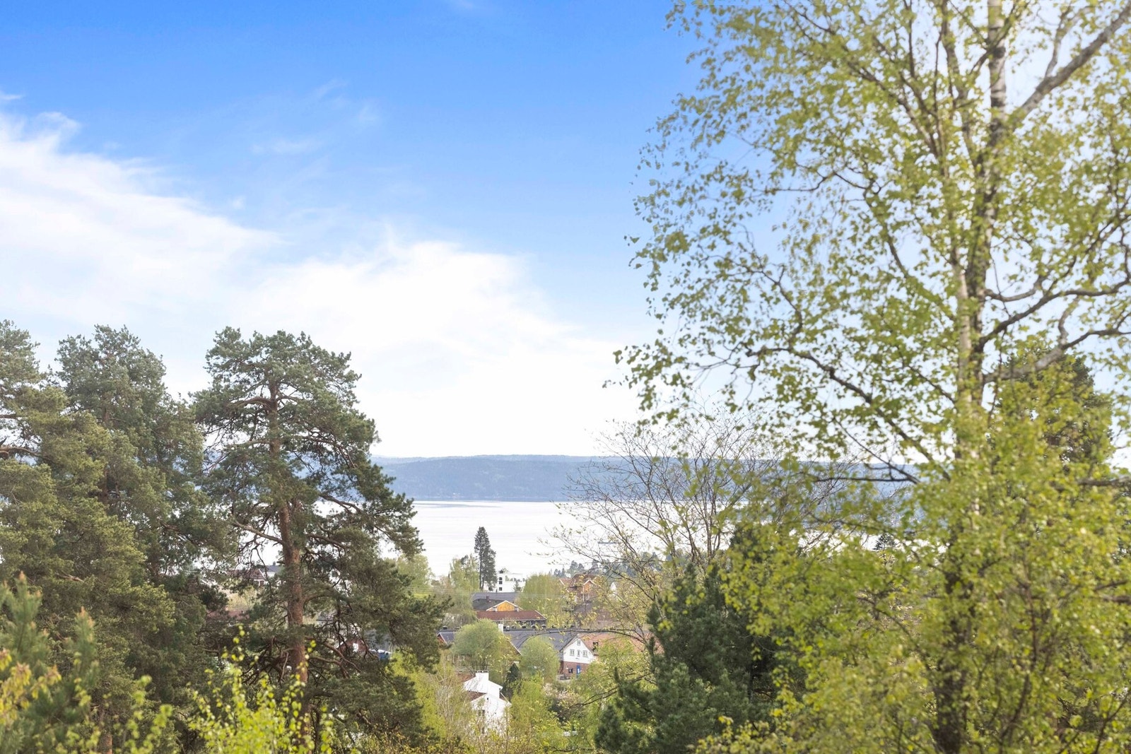 Utsikt fra vindu. Galleribilde