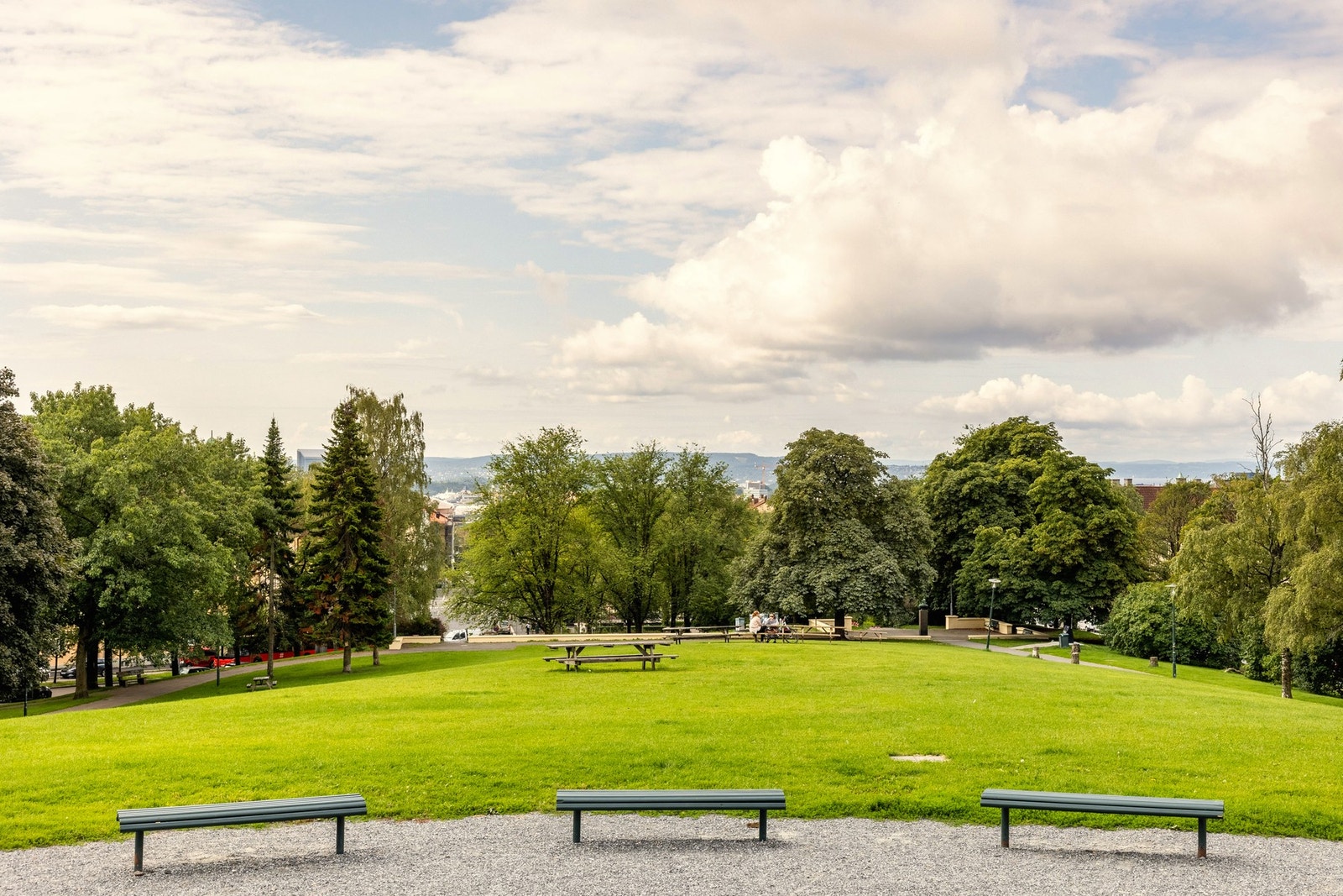 Nærområde. Galleribilde