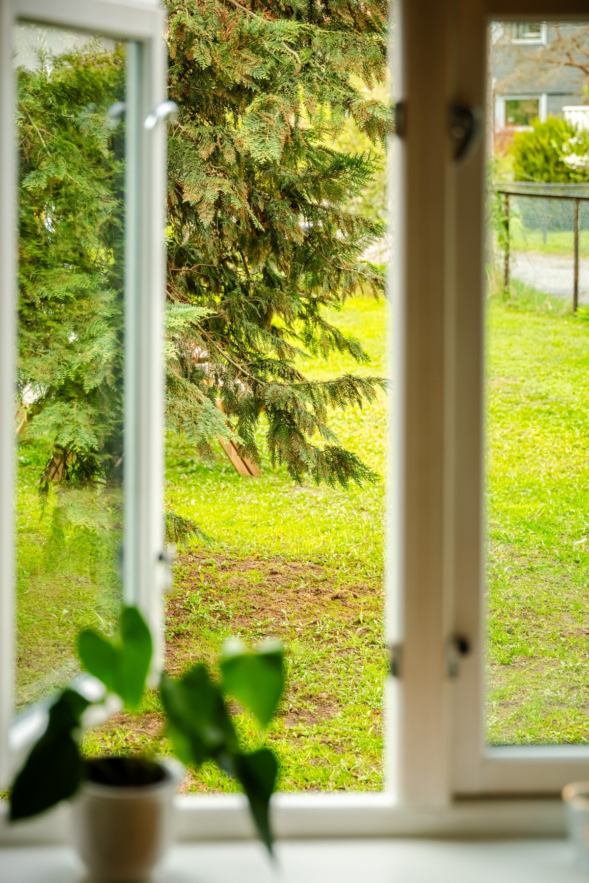 Tenk å ha en slik frodig utsyn midt i byen! Galleribilde