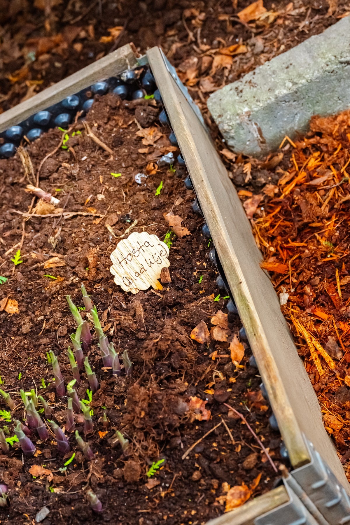 Har du grønne fingre? Eller et ønske om å få det? Da er det ypperlige muligheter her. Galleribilde