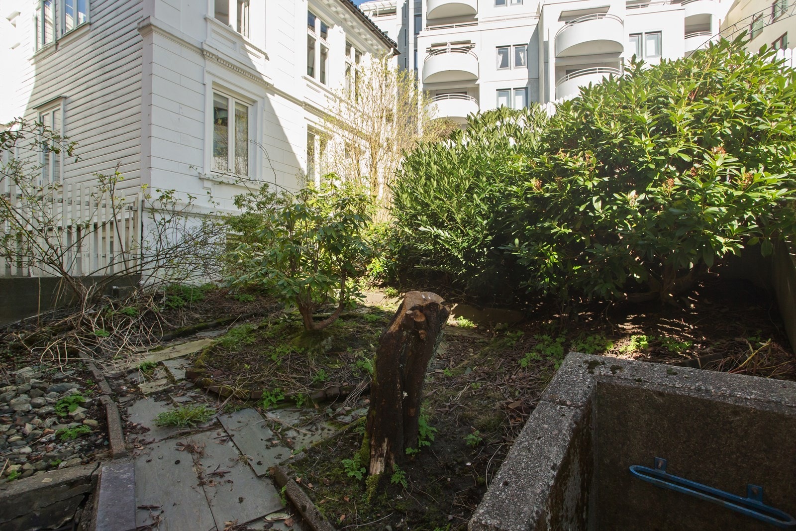 Liten hage ved huset. Galleribilde