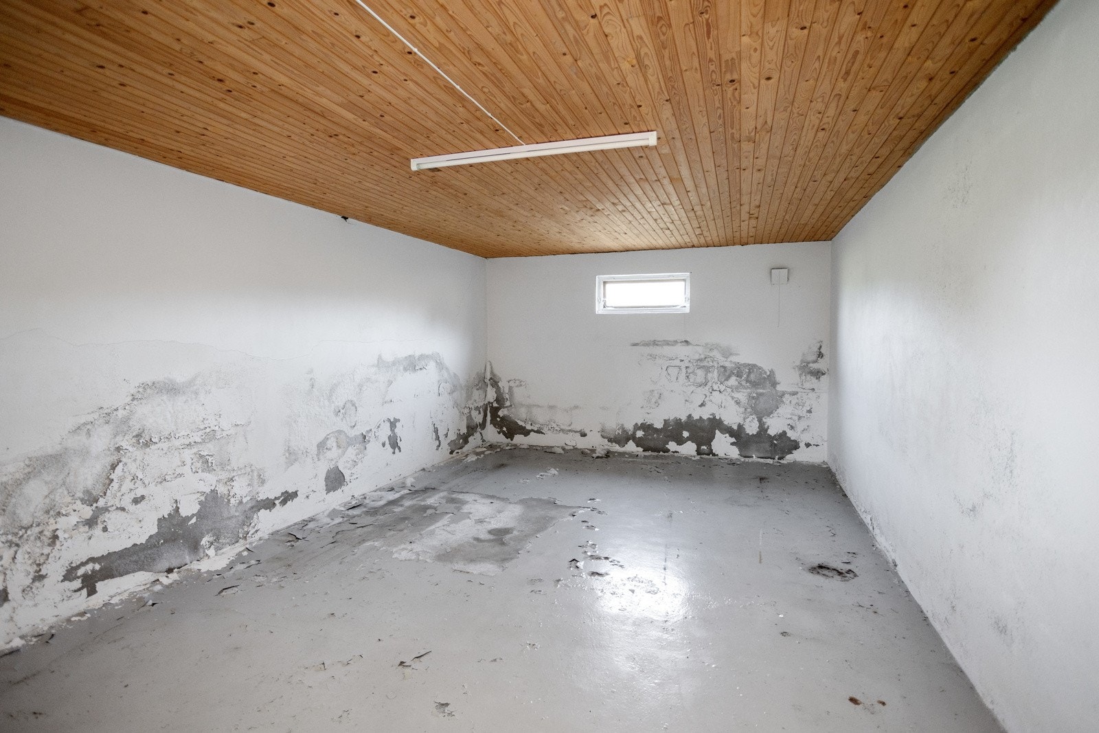 Stor kjeller med muligheter Galleribilde