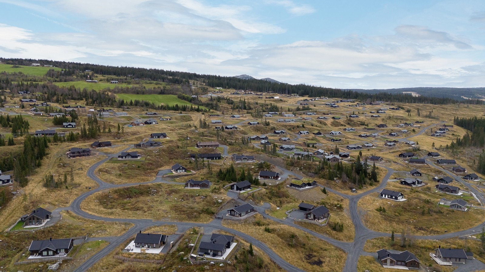 Fra hytta er det kort og enkel adkomst til Skeiporten, med matbutikk og diverse servicetilbud. Galleribilde