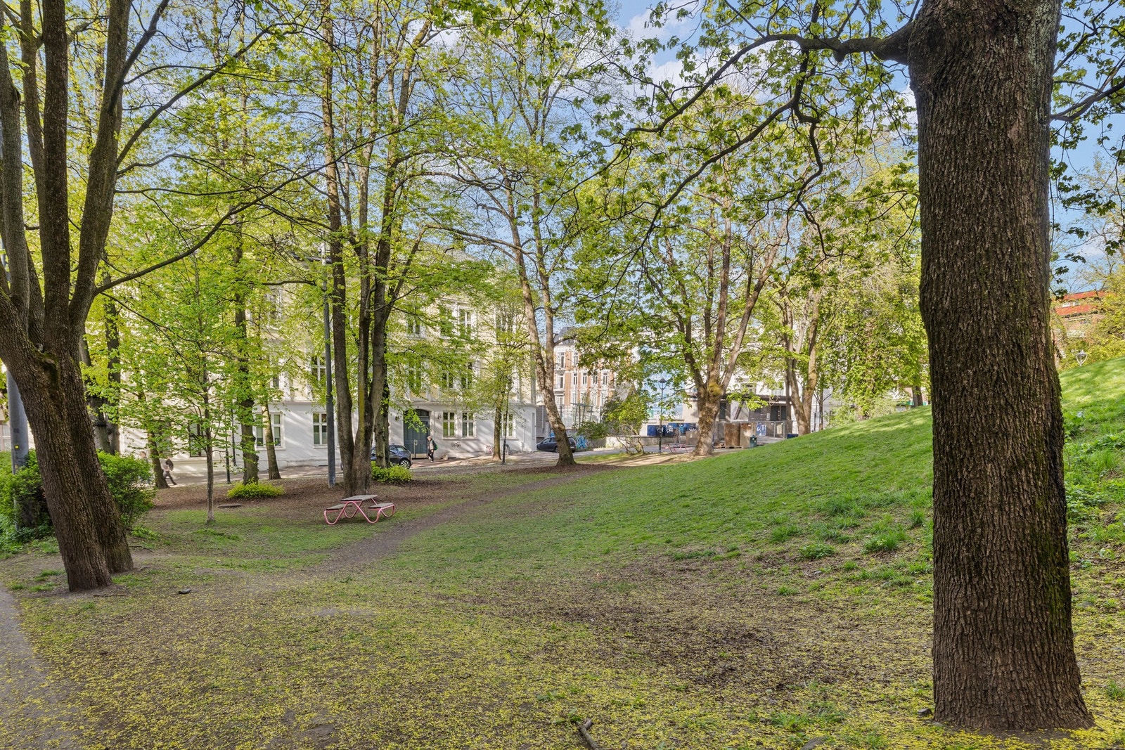 Nærområde. Galleribilde