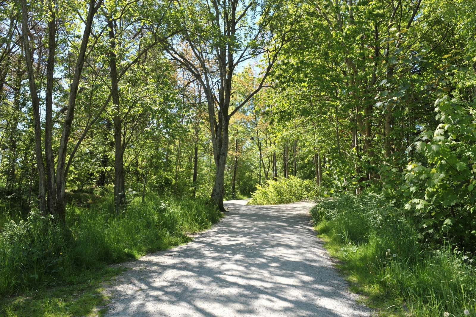 Nydelige turområder rundt Rosenli, et kvarters gange fra boligen. Galleribilde