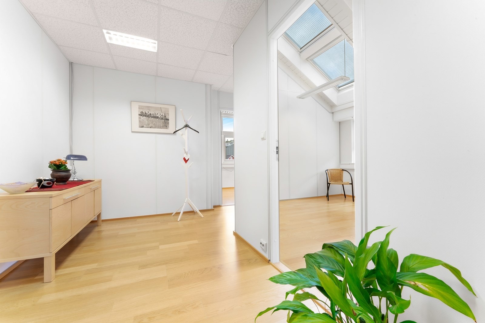 Lyse lokaler Galleribilde