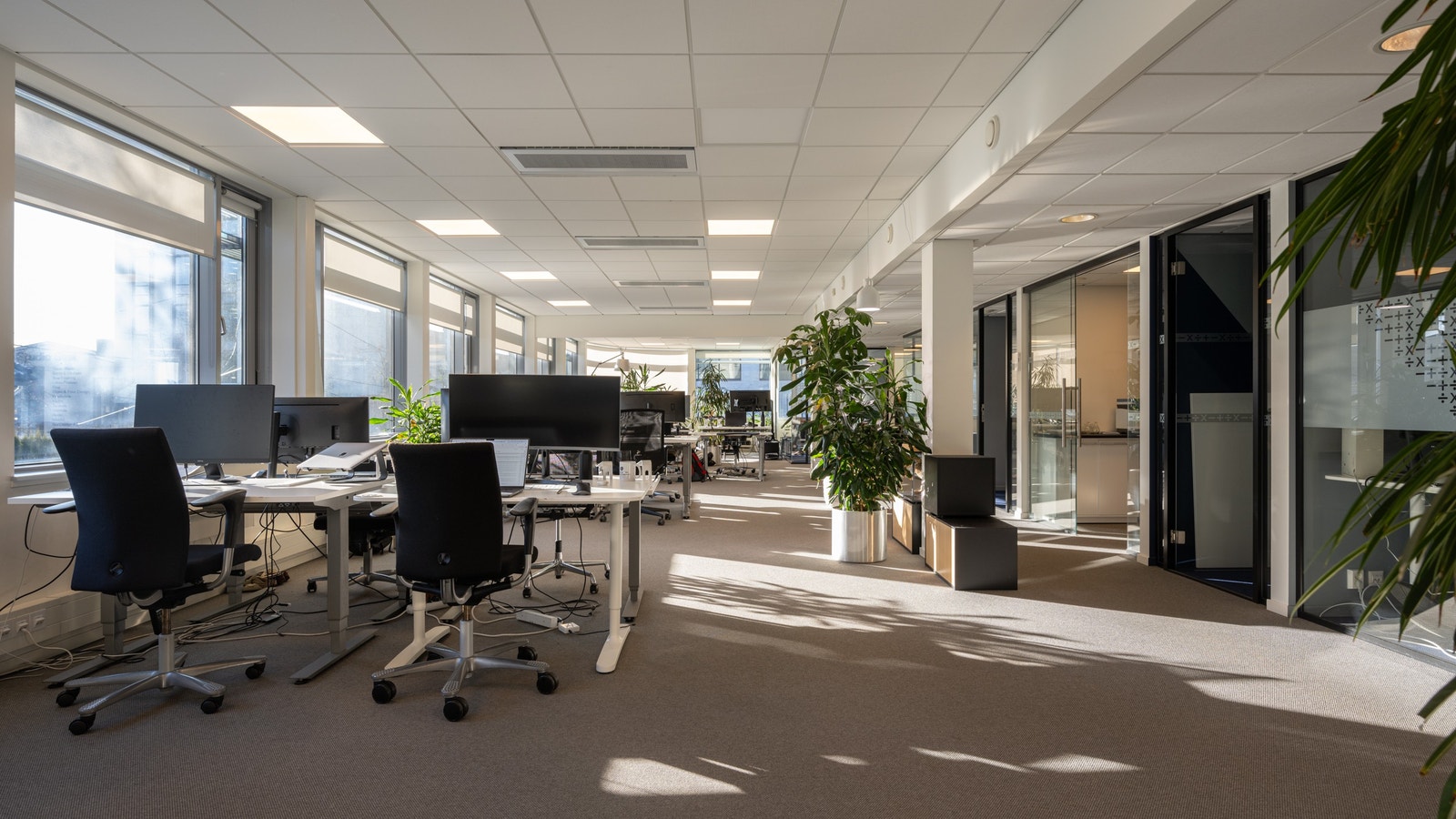 Referansebilde Galleribilde