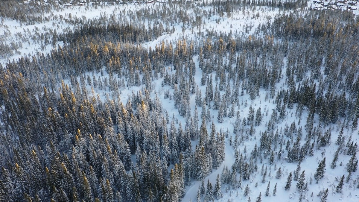 Øst_Fagkjølen Galleribilde