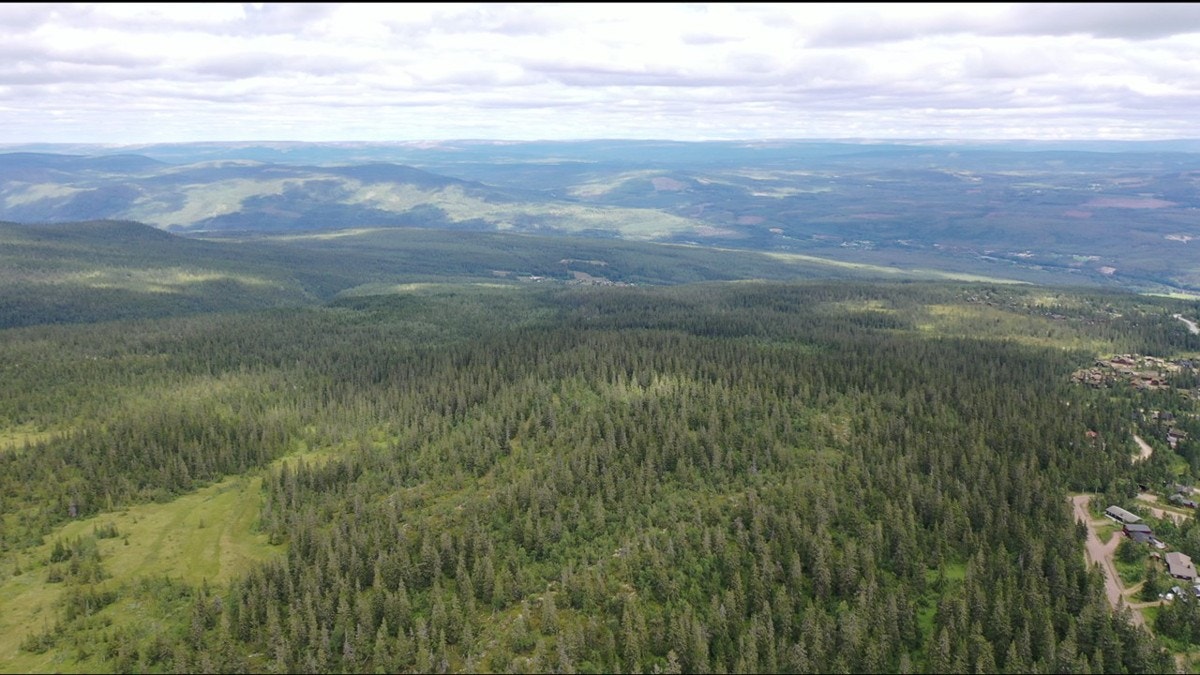 Slide14 Galleribilde