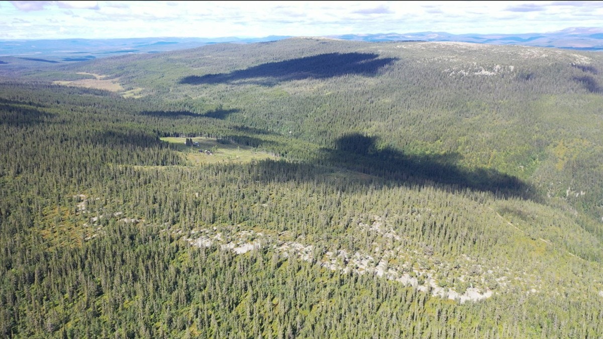 Slide40 Galleribilde