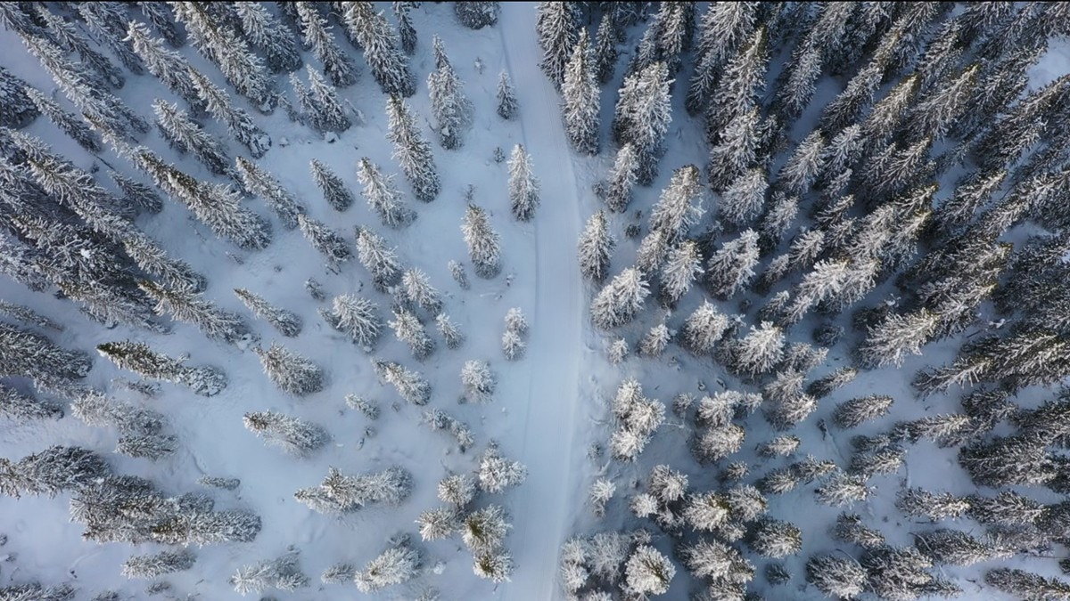 Langrenn_Fagkjølen Galleribilde