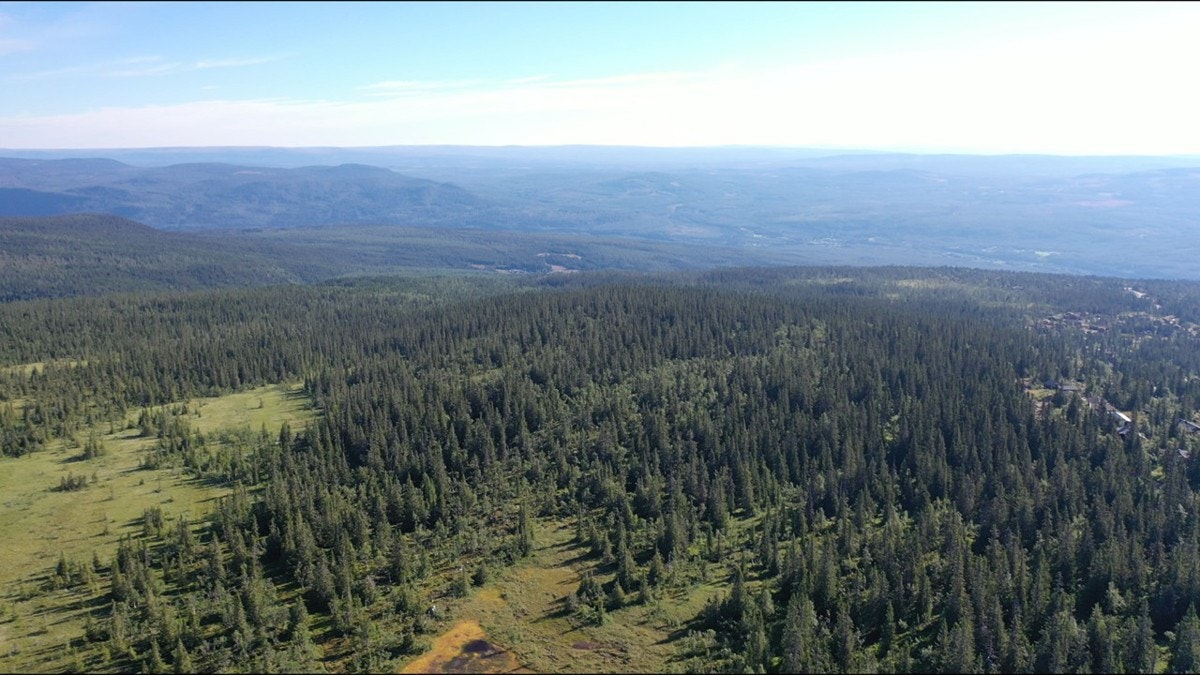 Slide35 Galleribilde