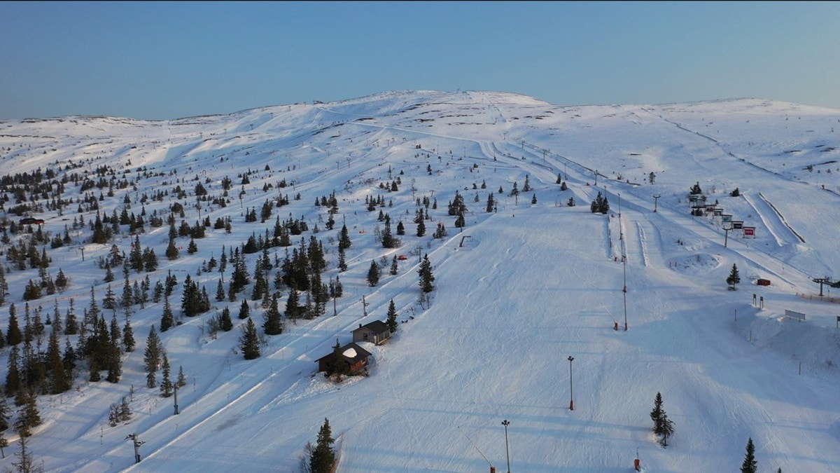 Slide29 Galleribilde