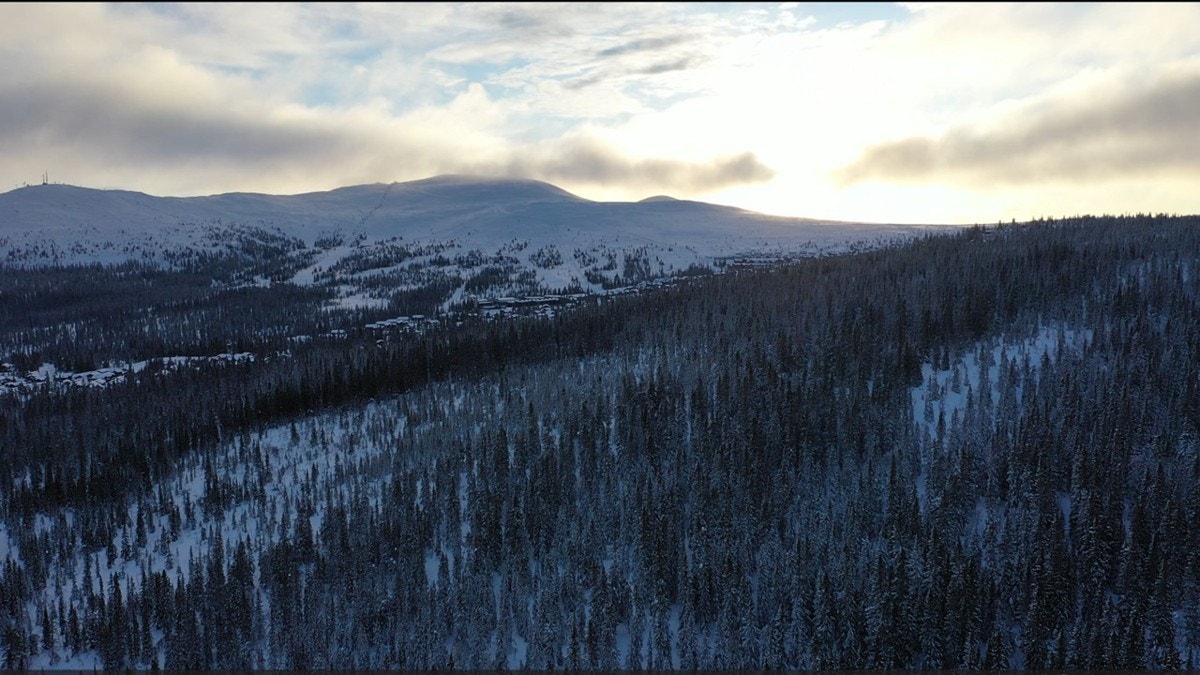 Mot1132_fra_øst Galleribilde