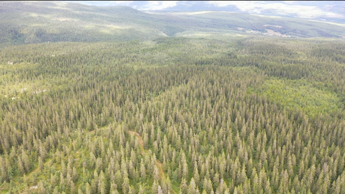 Slide15 Galleribilde