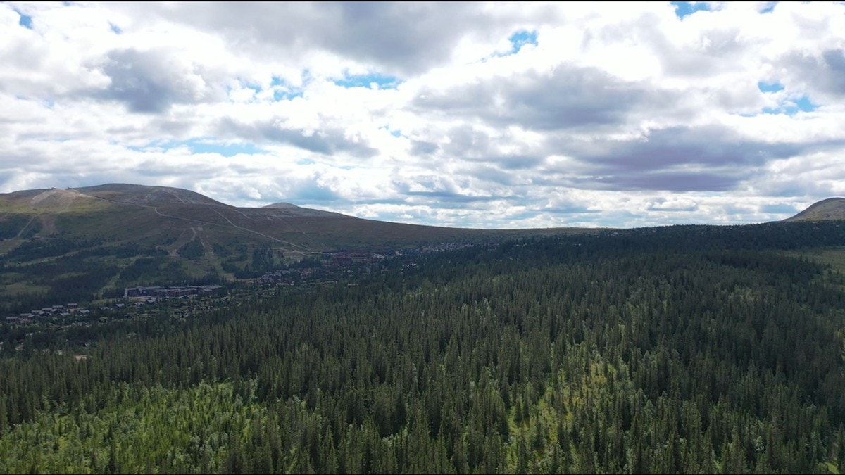 Slide16 Galleribilde