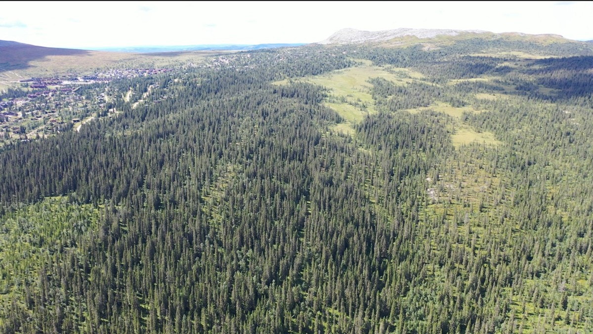 Slide24 Galleribilde