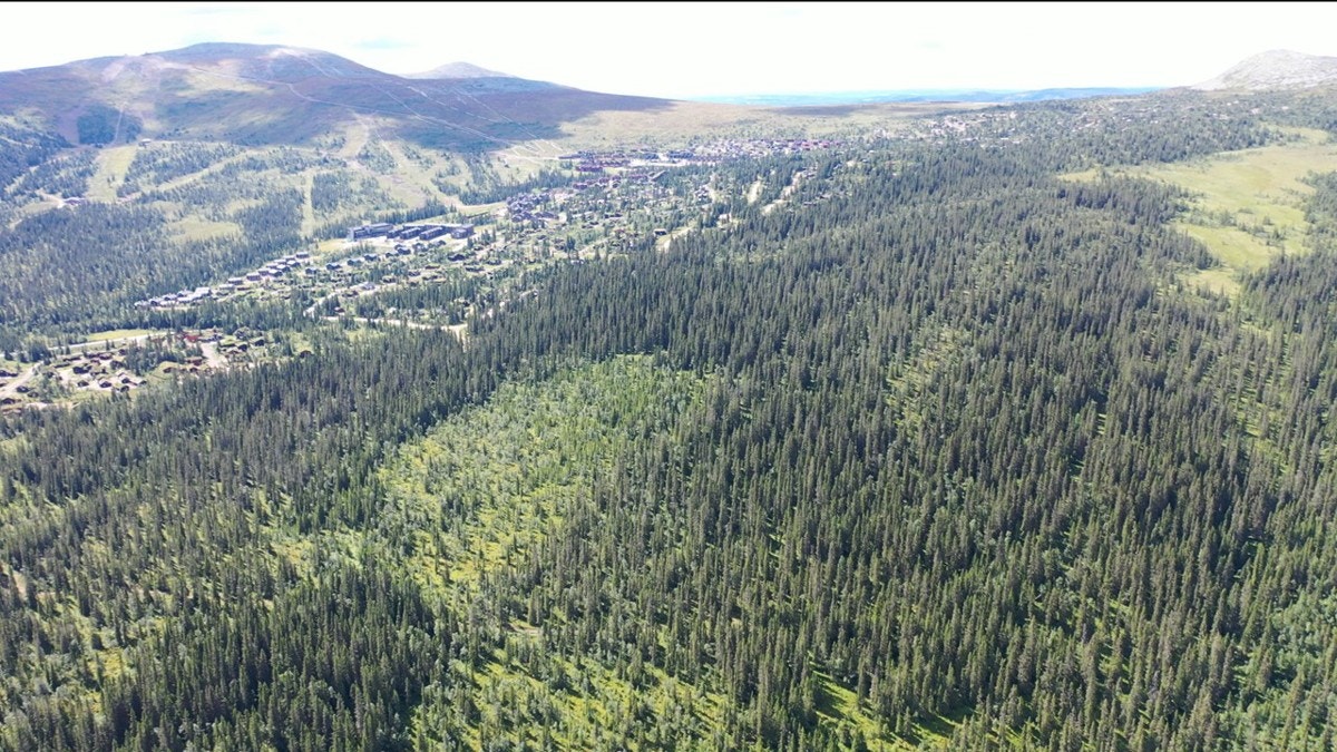 Slide33 Galleribilde