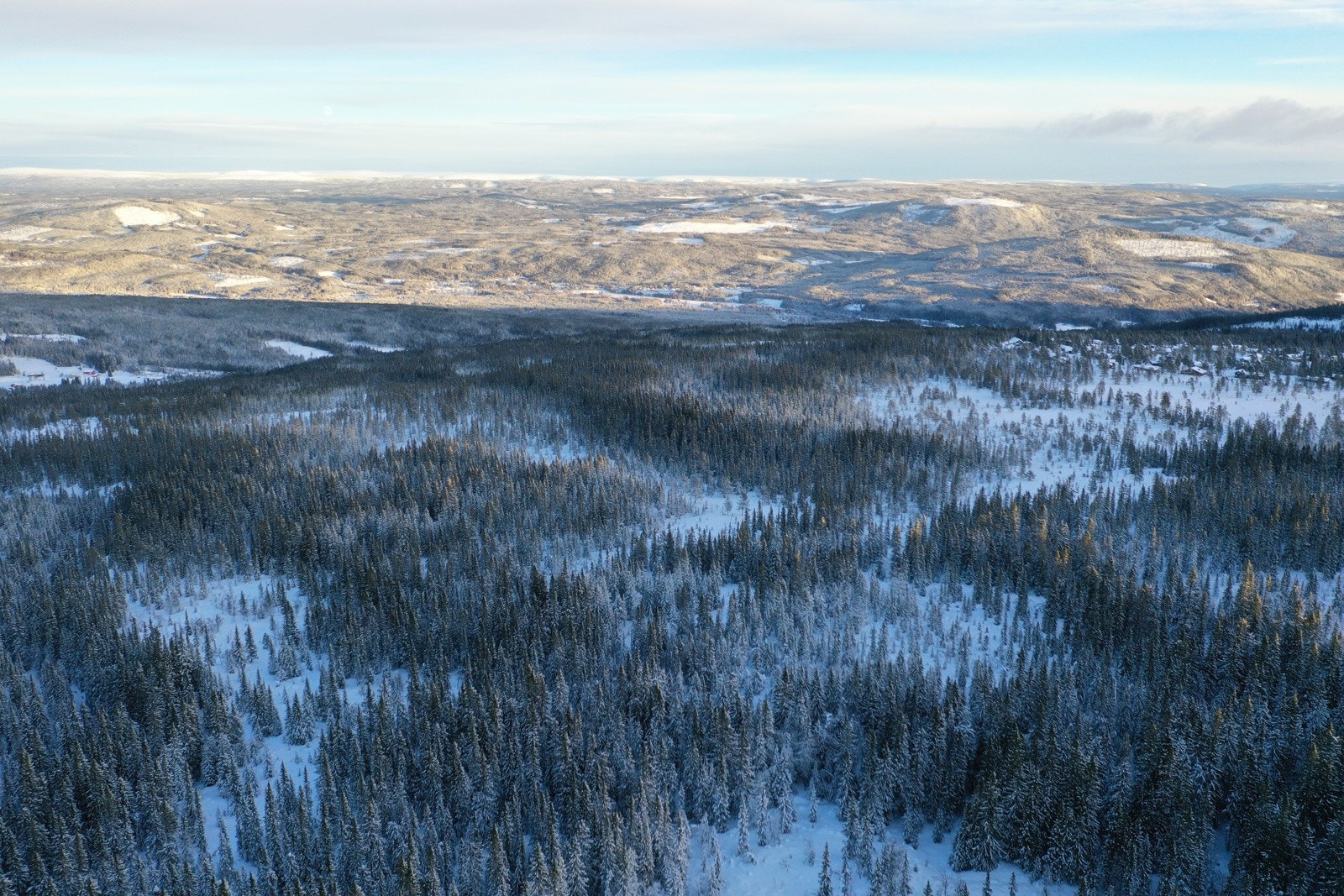 DJI_0141_mot_øst Galleribilde