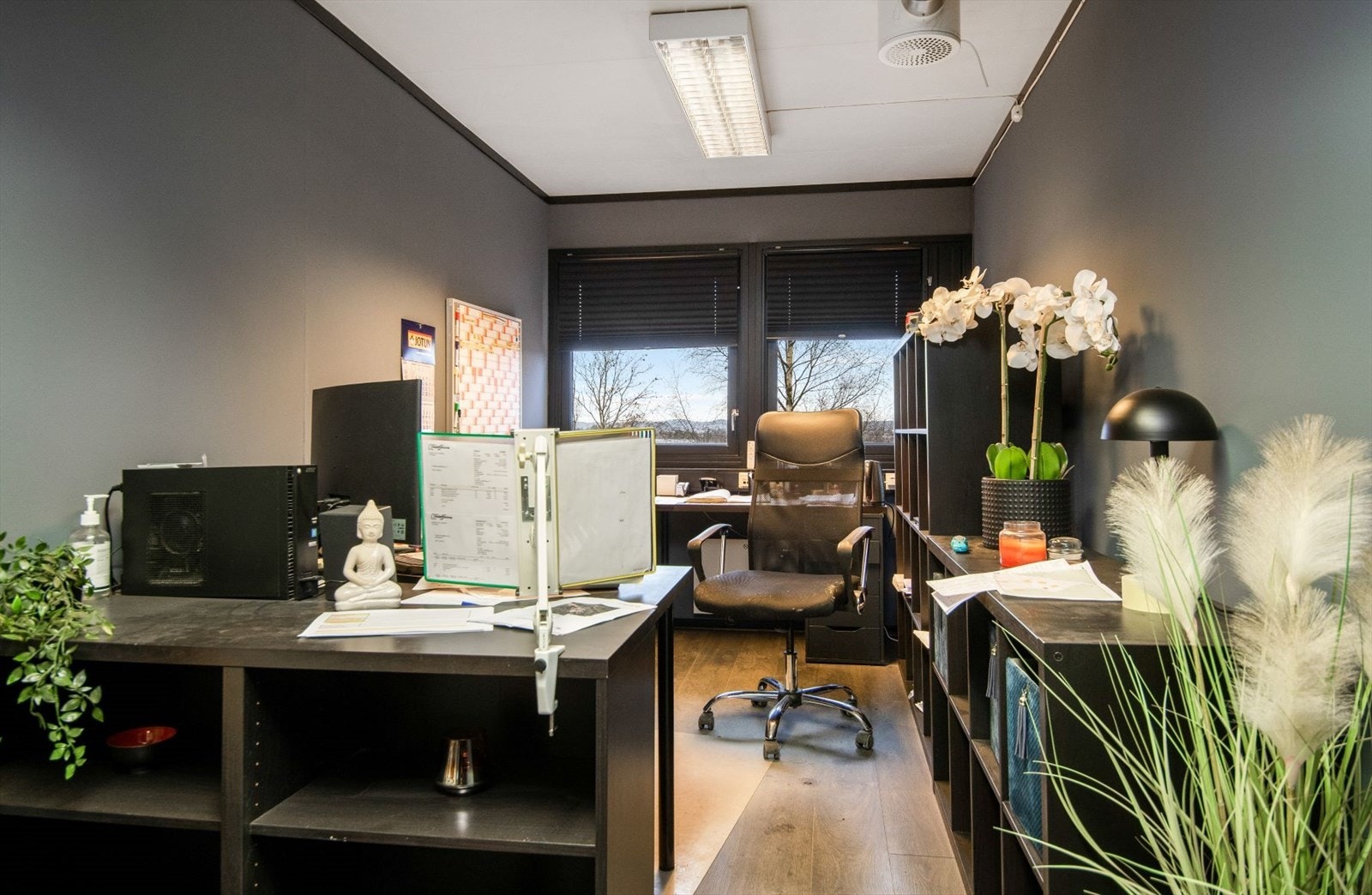 HV4A9089.jpg Galleribilde