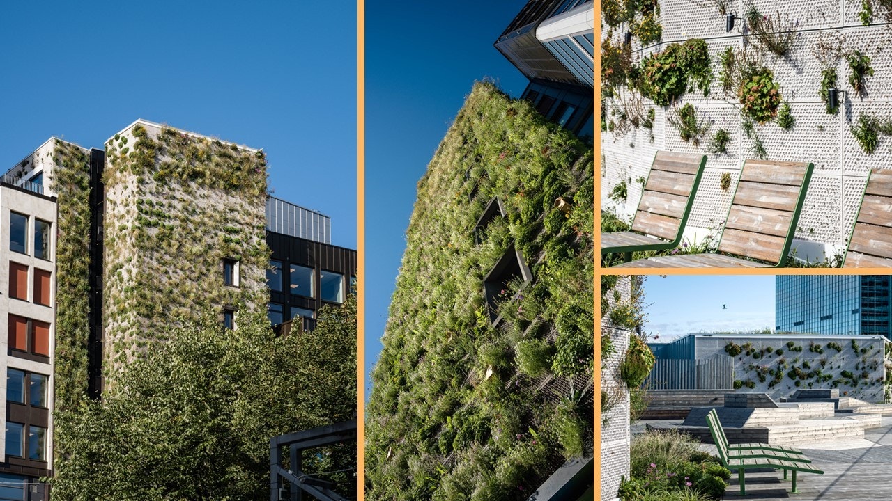 Ved å anlegge Nord-Europas største plantevegg på fasaden ønsker vi å gjøre et grått område litt mer grønt. Galleribilde
