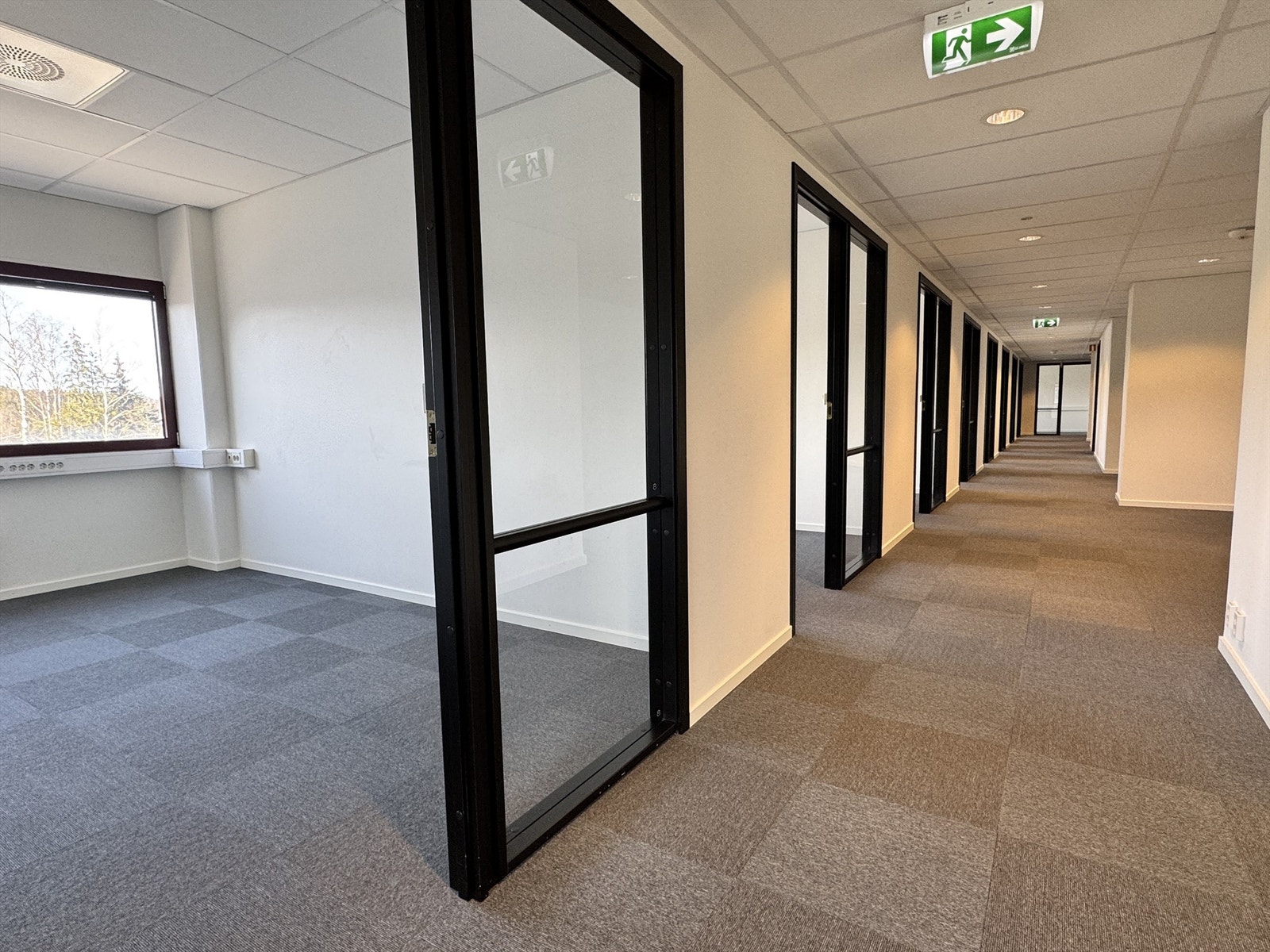 Gangarealer. Galleribilde