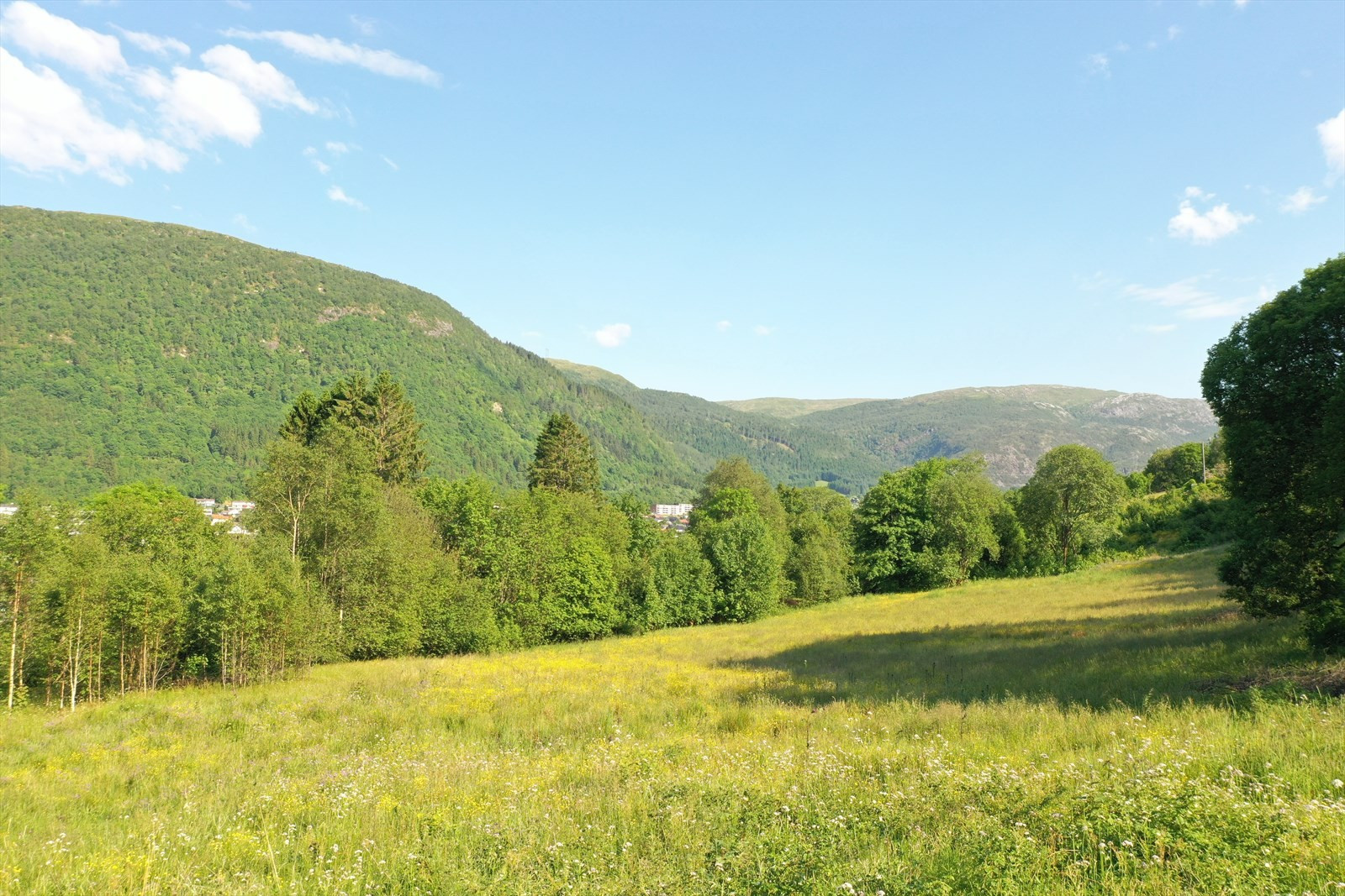 Tomteområdet