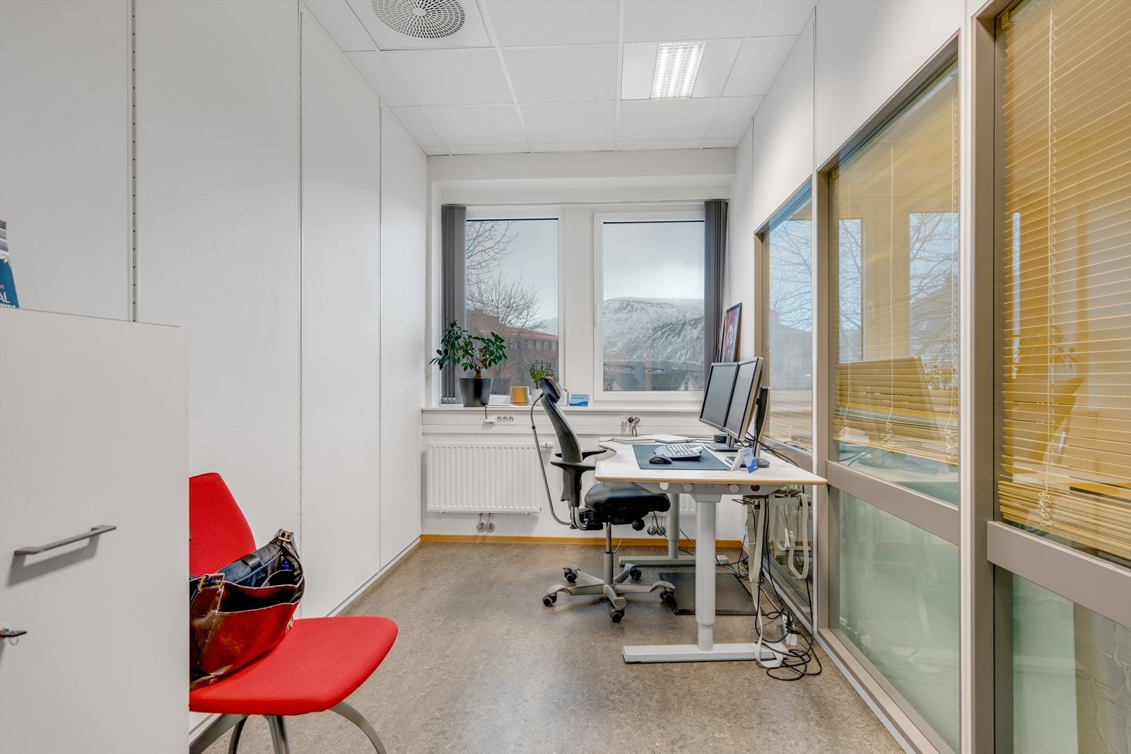 Cellekontor Galleribilde