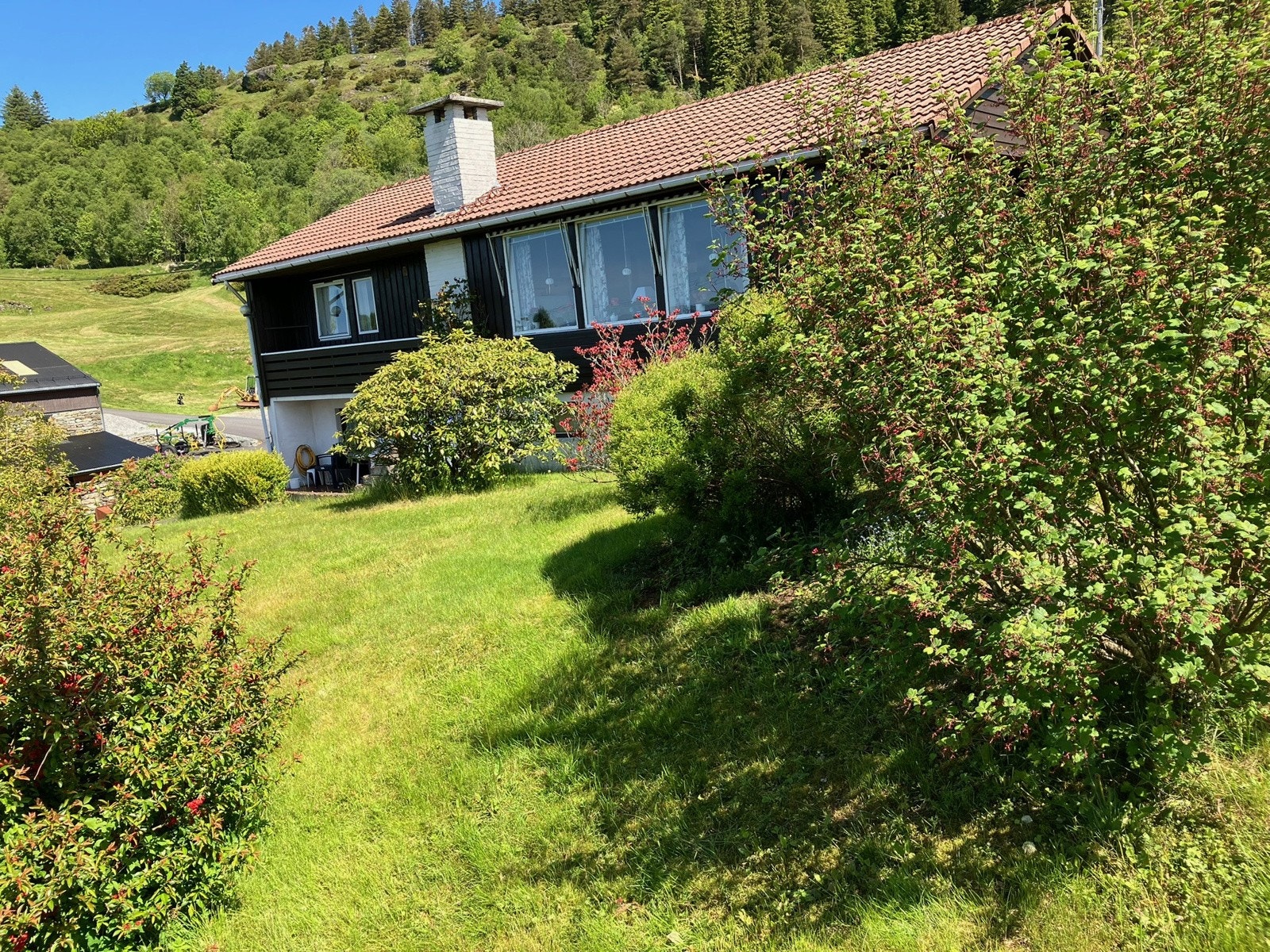 Boligen sett fra hagen på sommeren - Selgers eget bilde - Galleribilde
