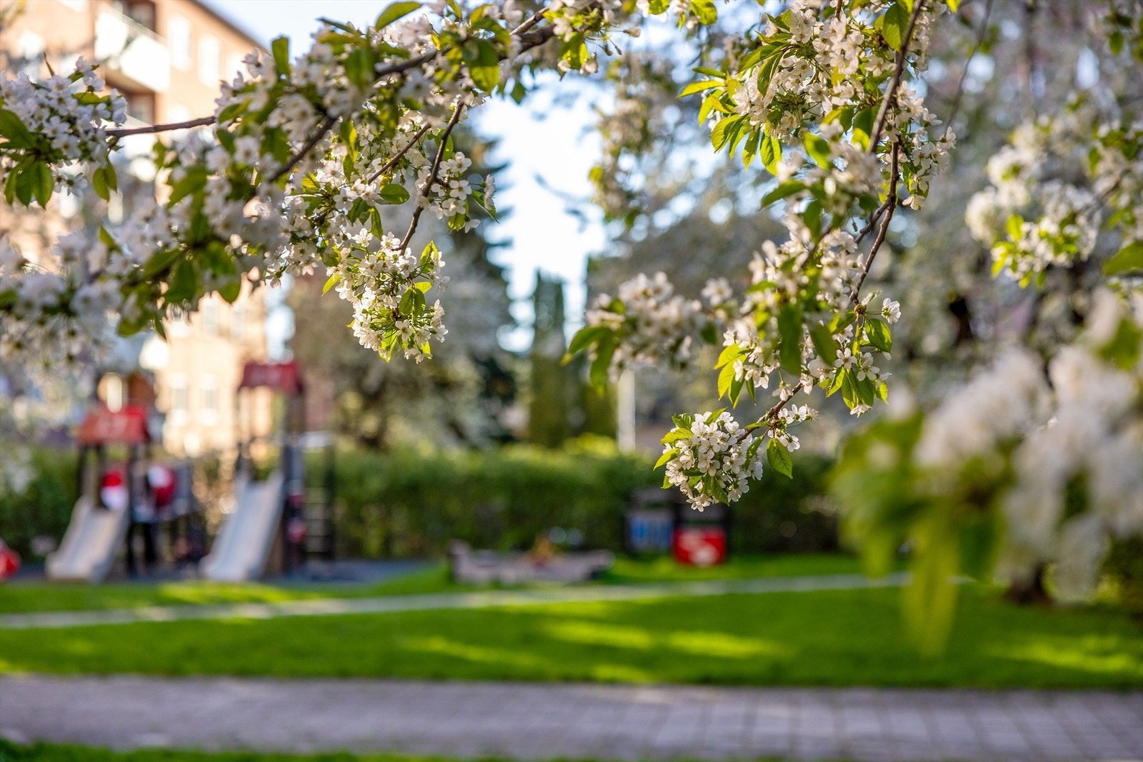 Her kan du nyte fantastiske omgivelser Galleribilde