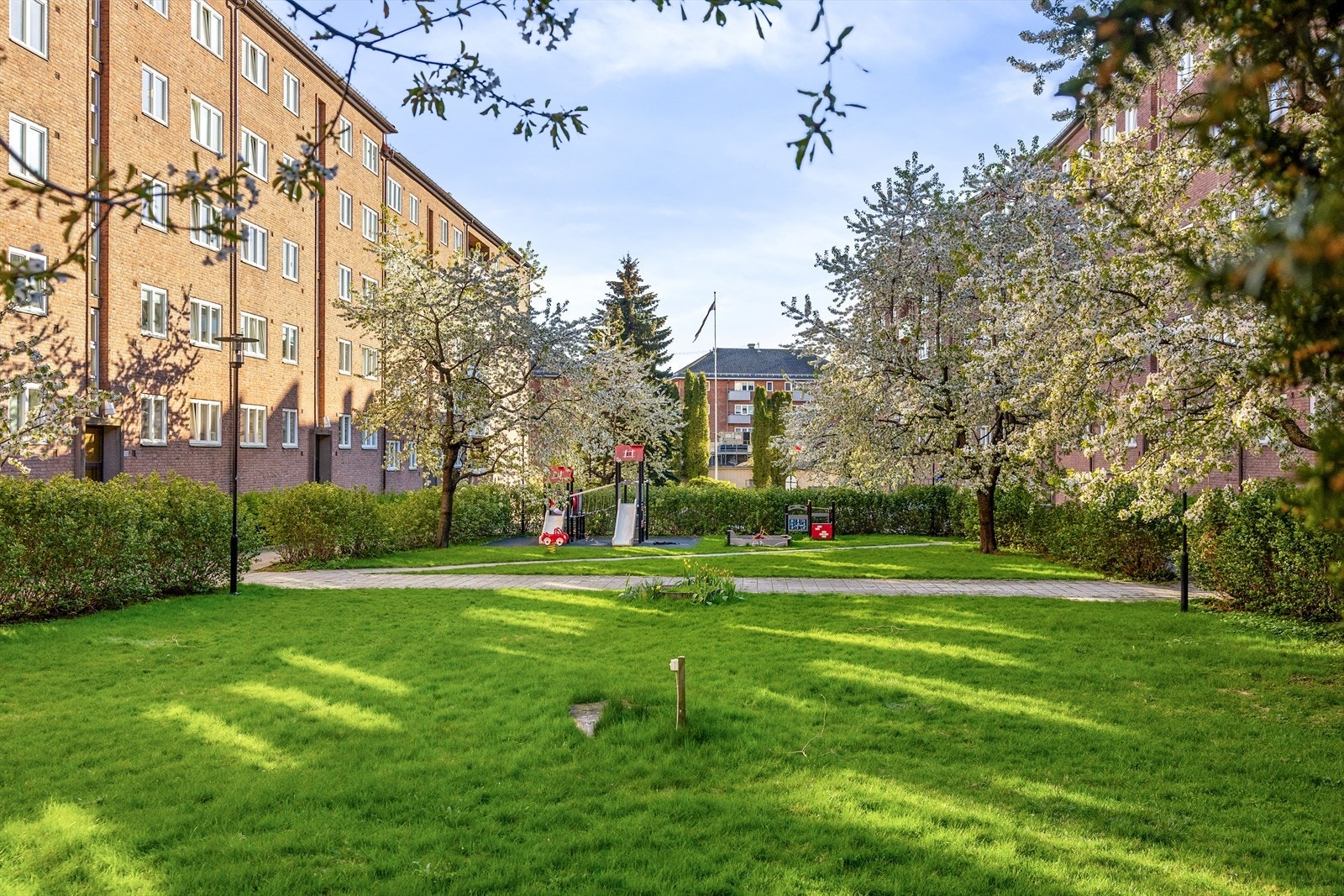 Borettslaget har en nydelig bakgård med plen, trær og diverse beplantning Galleribilde
