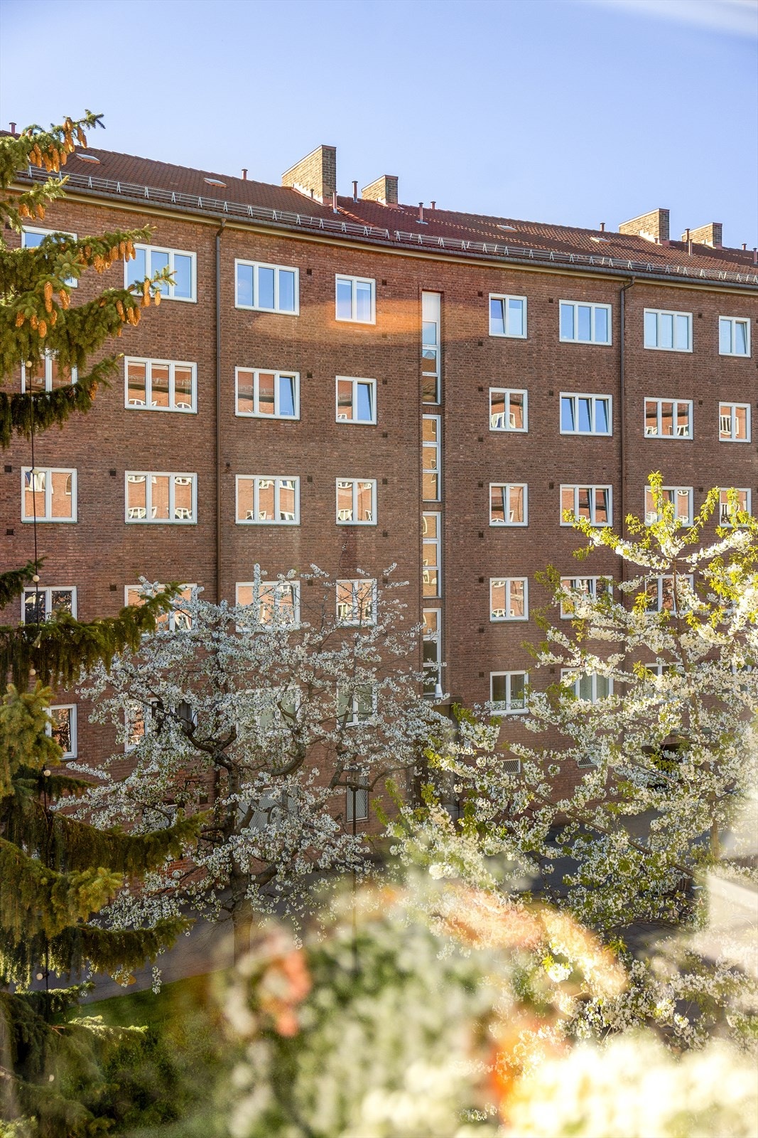 Her har du utsikt til borettslagets nydelige bakgård! Galleribilde