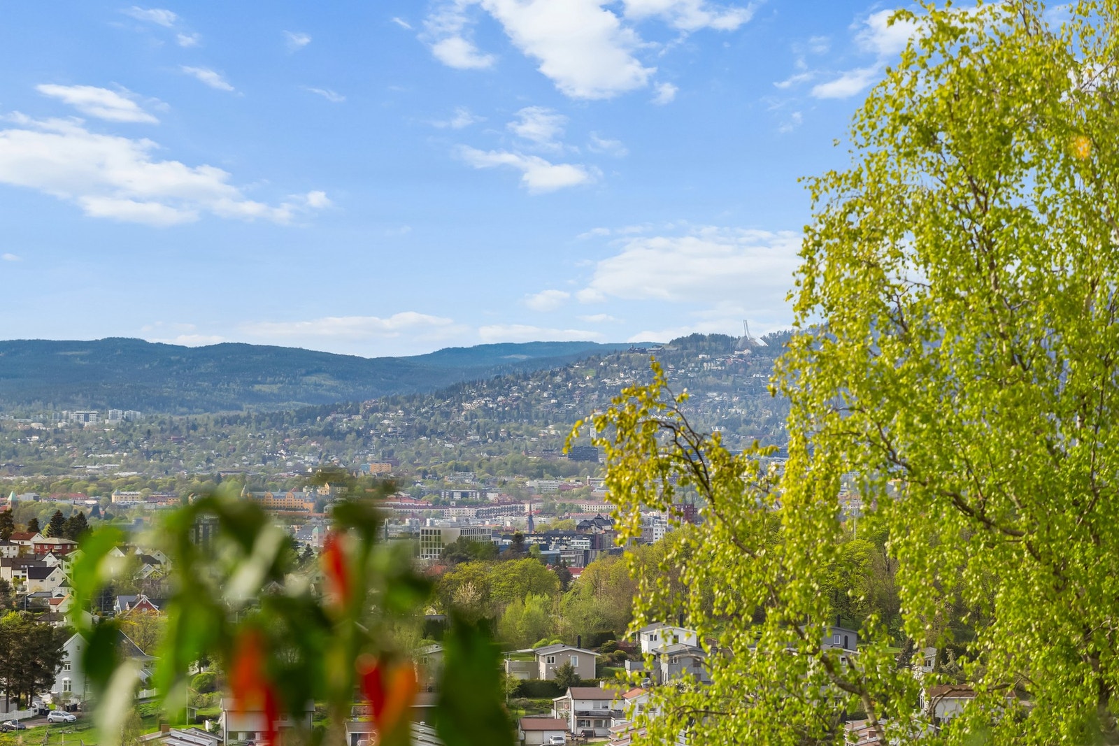 Fantastisk utsikt fra balkongen! Galleribilde