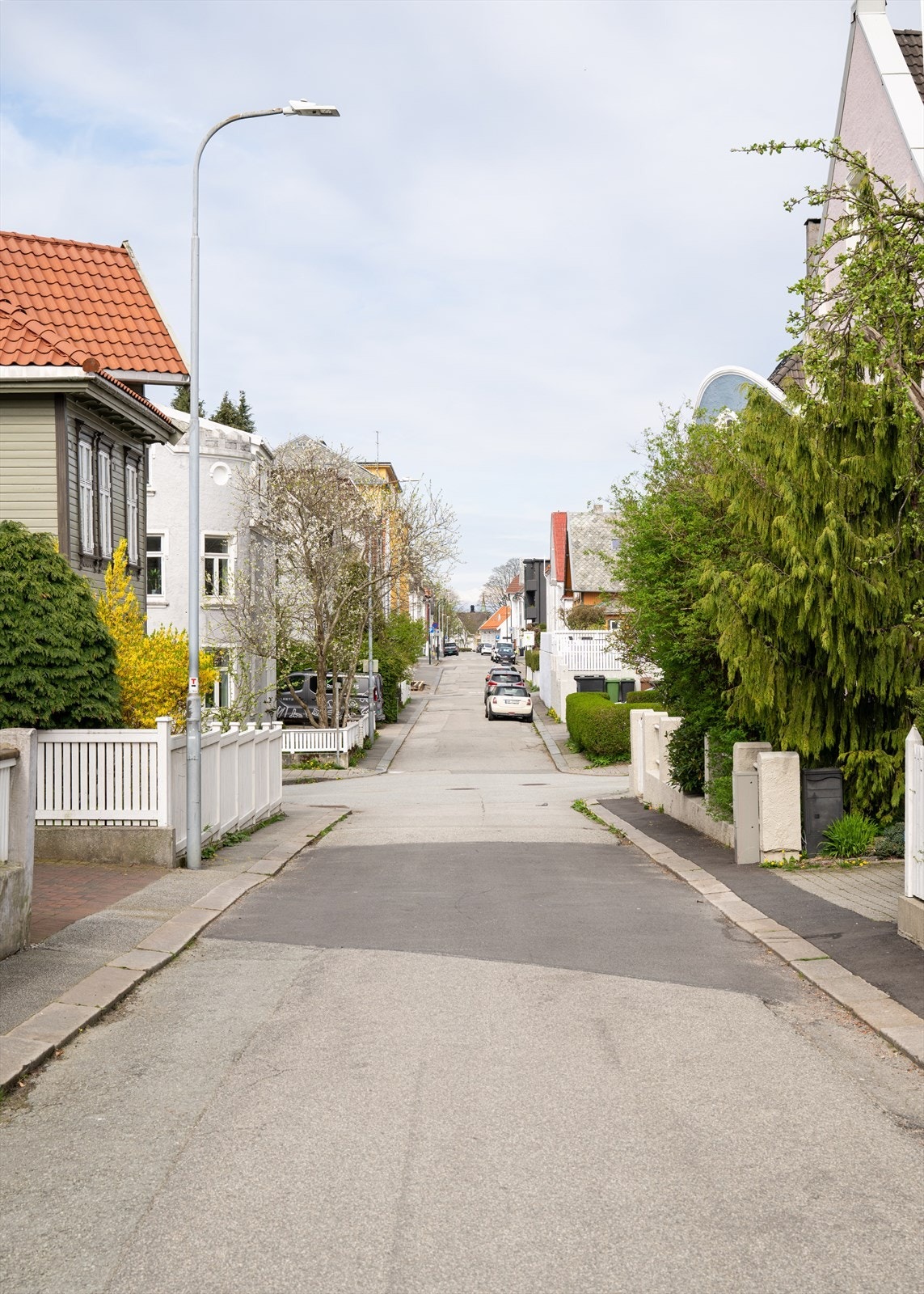 Nærområdet. Galleribilde