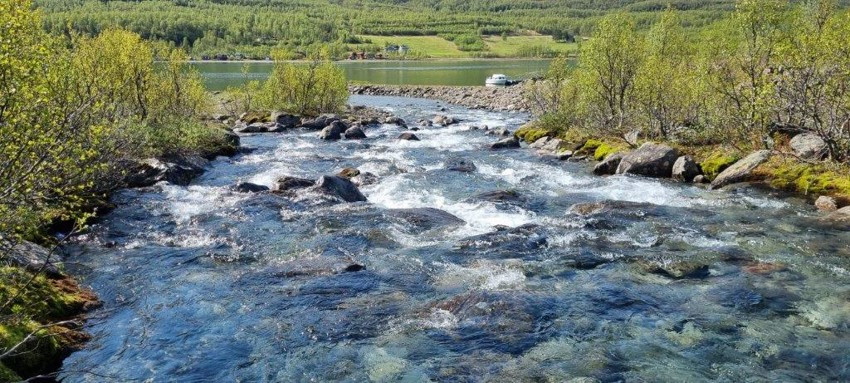 Om sommeren er området et eldorado for friluftsliv: Ta med kajakken på fjorden, dra på krabbefiske med barna, eller nyt en rolig fottur i fjellene rundt.
