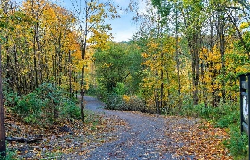 Turmuligheter Galleribilde