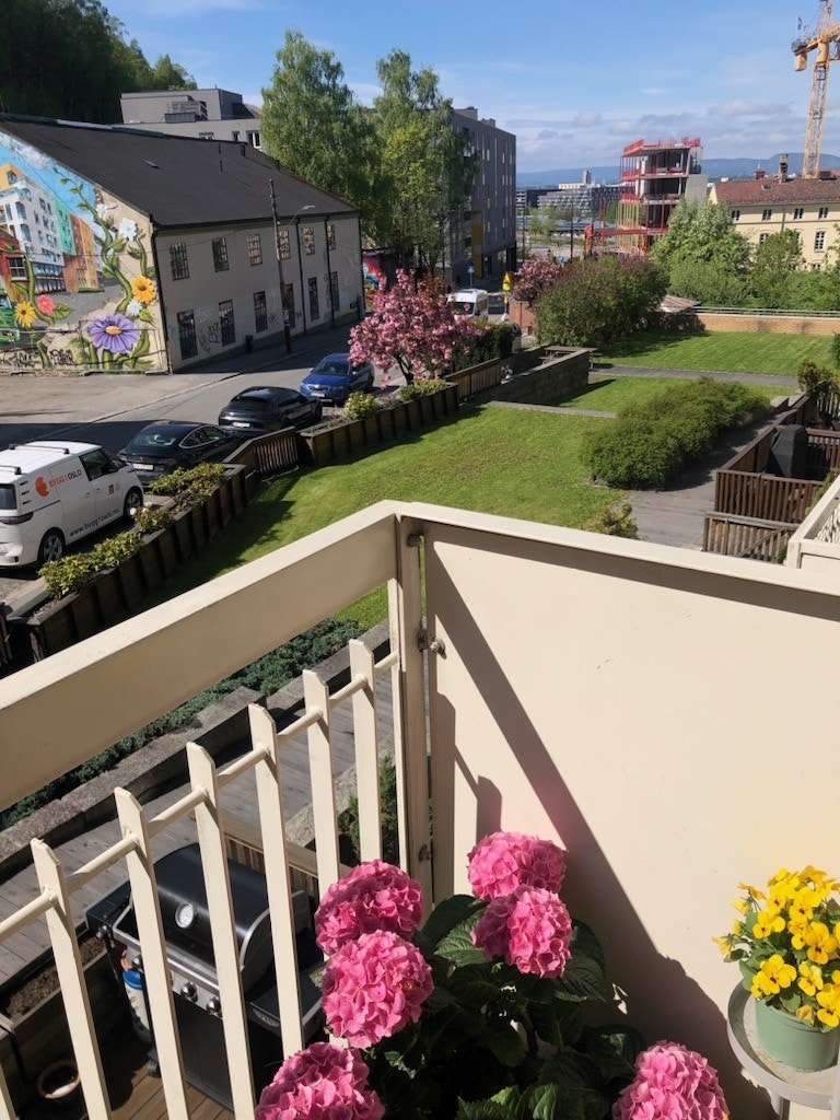 Selgers bilde. Galleribilde