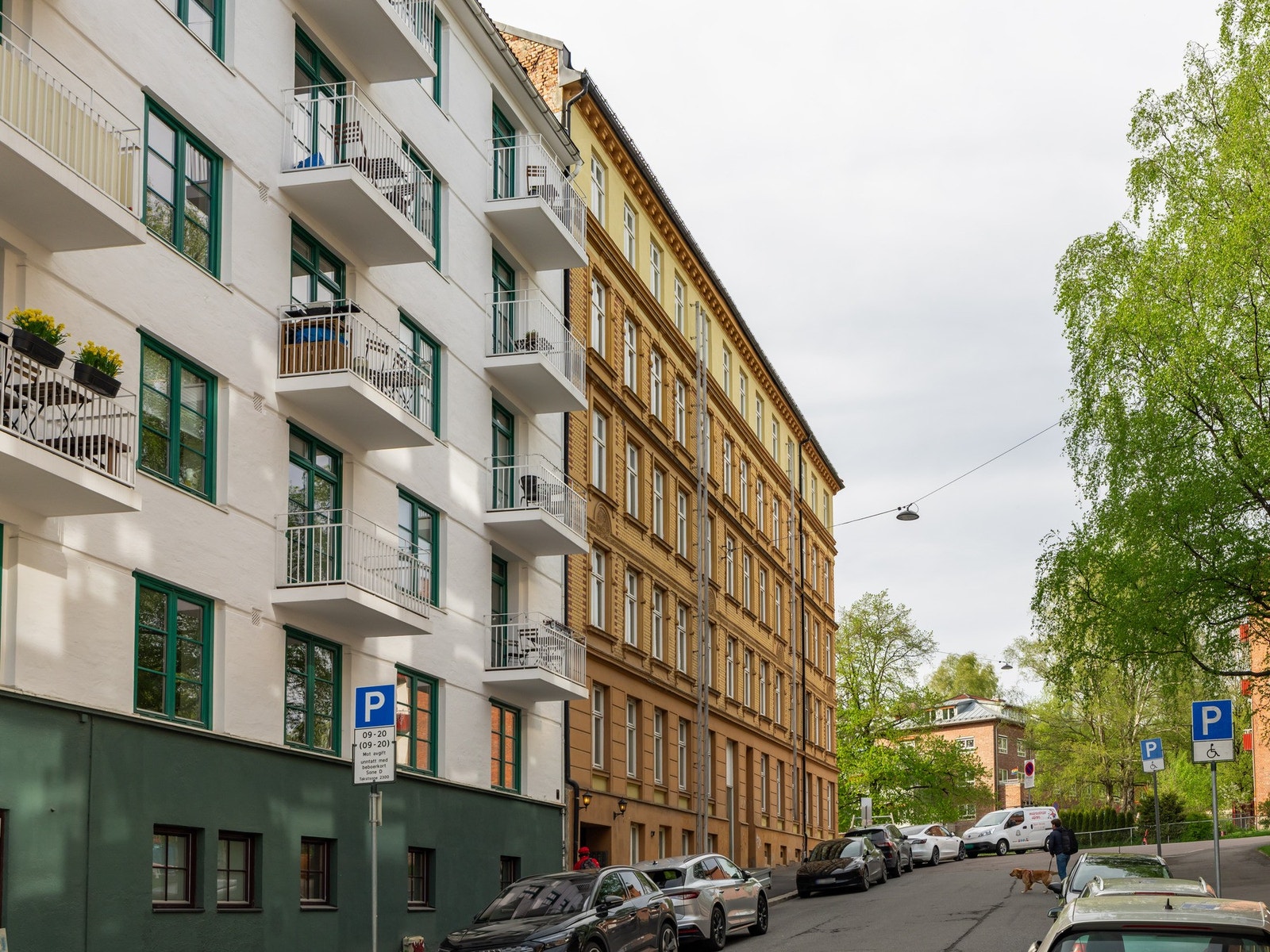 Christies gate er en roligere gate, som går opp til Dælenenggata. Det er en blindgate. Det oppleves som veldig greit å finne gateparkering her! Her er også kommunale elbilladeplasser. Galleribilde