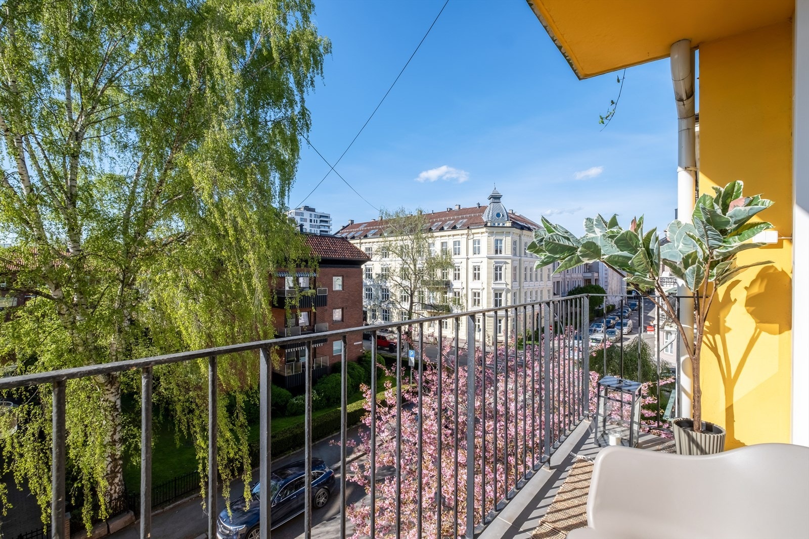 Her er det gode lys- og solforhold. Galleribilde