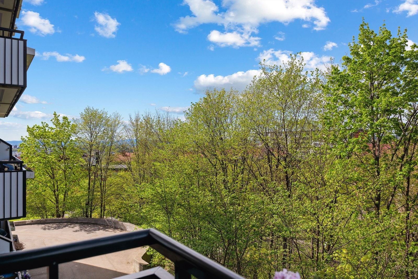 Nyt gode solforhold og flott utsyn Galleribilde