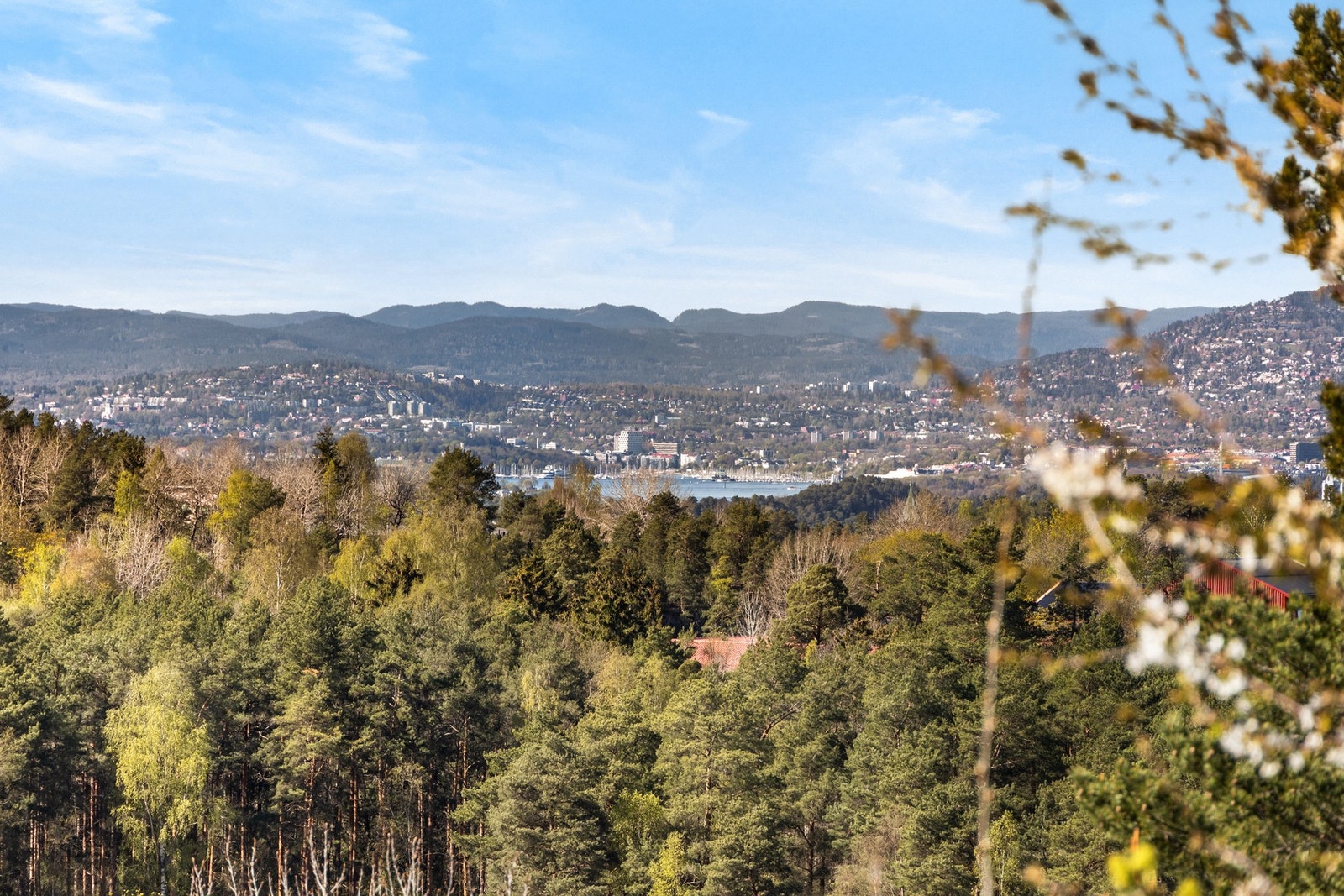 Fantastisk både dag og kveld - denne bør du se! Galleribilde