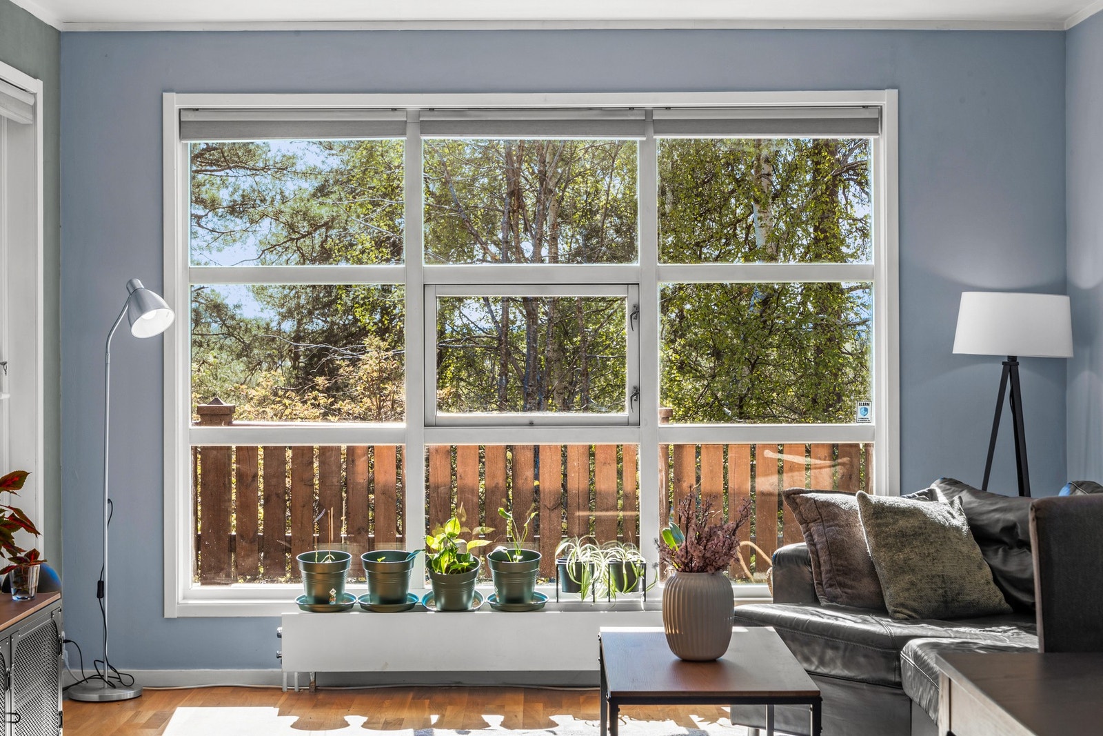 Kryssvinduer med flott utsyn Galleribilde