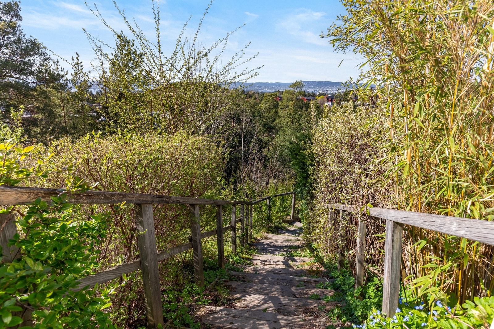 Snarvei til tog og busstasjon fra leiligheten Galleribilde