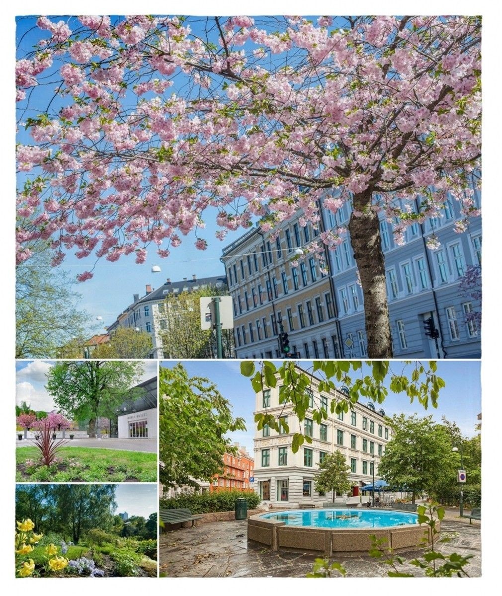 Leiligheten befinner seg supersentralt ved flere parker og Botanisk hage. Galleribilde