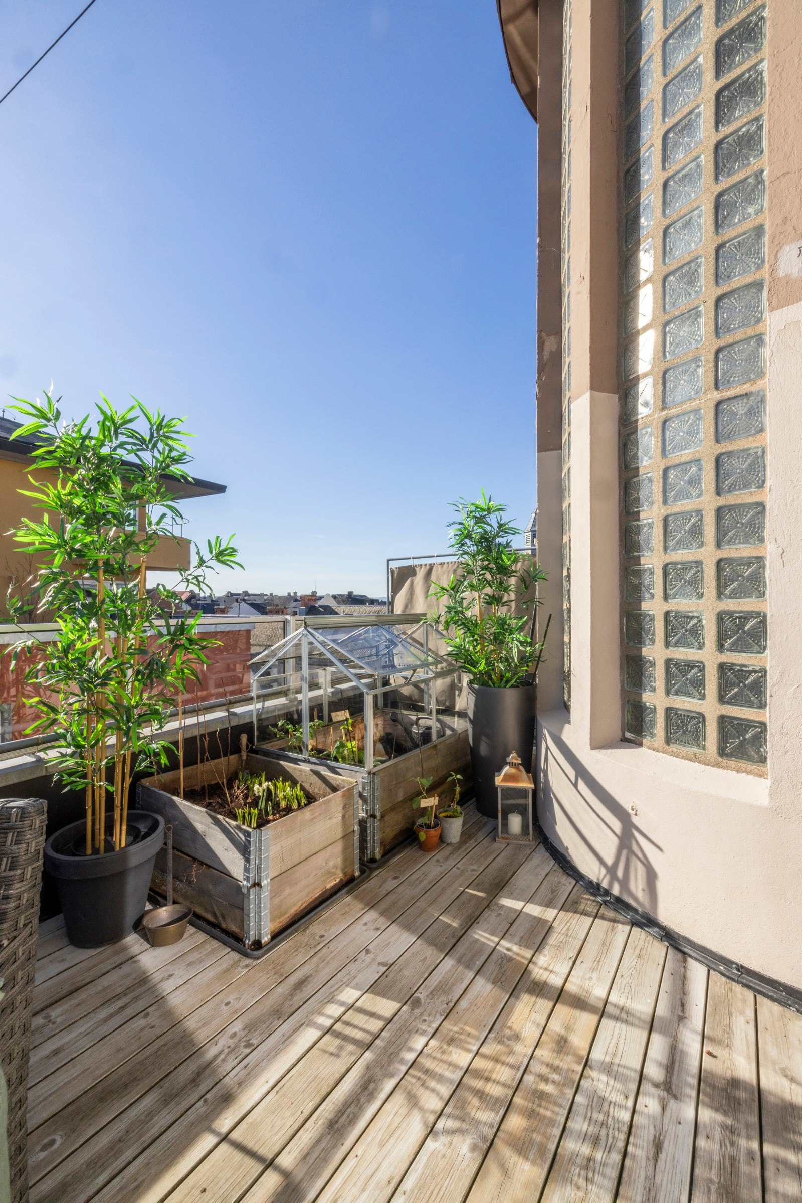 Takterrassen byr også på eget minidrivhus - En av få i byen! Her har du muligheten til å dyrke grønnsaker fra egen takterrasse! Galleribilde